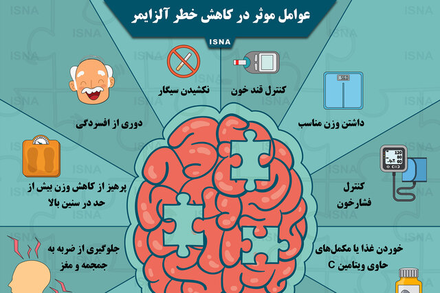 اینفوگرافیک / عوامل موثر در کاهش خطر آلزایمر