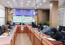 فضای مجازی محور ویژه برنامه‌های سالروز ورود آزادگان به میهن است