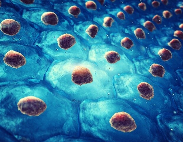 درمان بهتر بیماری‌ها با کمک سلول‌های مصنوعی