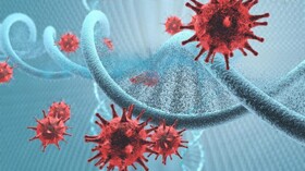 مبارزه با دی.ان.ای ویروسی با یک مکانیسم نوین