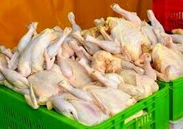 قیمت گوشت مرغ طی ۹ روز ۱۵۴۰ تومان گران شد