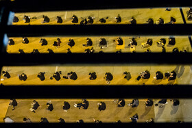 مراسم عزاداری محرم در دانشگاه افسری امام علی(ع)