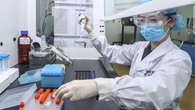 مجوز واکسیناسیون اضطراریِ کرونا برای مشاغل پرخطر در چین صادر شده است