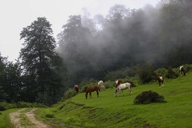 ایران زیباست؛ ییلاقات «اولسبلنگاه»