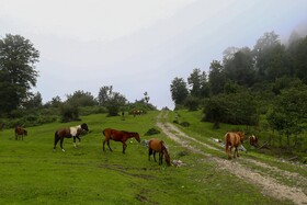 ایران زیباست؛ ییلاقات «اولسبلنگاه»