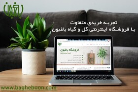 فروش اینترنتی انواع گیاهان آپارتمانی و فضای باز
