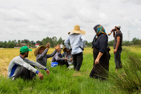 کار کارگران به پایان رسیده و در حال استراحت هستند.