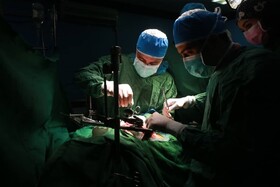 کاهش ۷۰ درصدی پیوند اعضا در دانشگاه علوم پزشکی مشهد