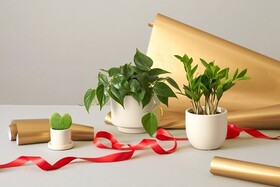 بهترین گزینه برای هدیه دادن
