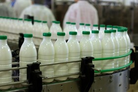 طی ۱۰ سال اخیر سرمایه‌گذاری در صنعت شیر انجام نشده است