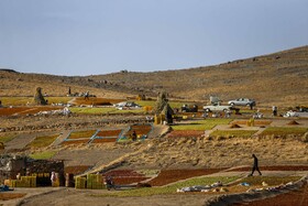 سال گذشته ۲۵ میلیون و ۵۰۰ هزار دلار انواع کشمش انگوری، تیزابی و آفتابی از گمرک این شهرستان به حدود ۲۷ کشور جهان صادر شد. 