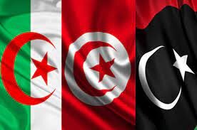 تاکید تونس و الجزائر بر اهمیت حل سیاسی بحران لیبی 