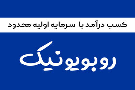 کسب درآمد با سرمایه محدود