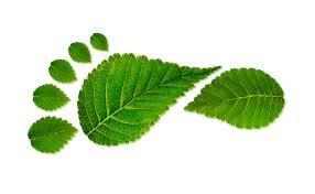 برگزاری وبینار «رد پای اکولوژیکی»