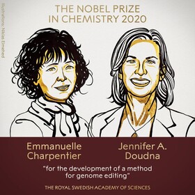 نوبل شیمی ۲۰۲۰ به توسعه دهندگان "قیچی ژنتیکی" رسید