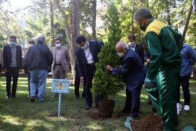 کاشت درختی به نام "عباس جوانمرد" در حوالی سنگلج