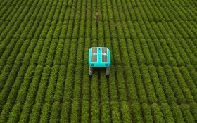 رباتی که تک تک گیاهان مزارع را رصد می‌کند