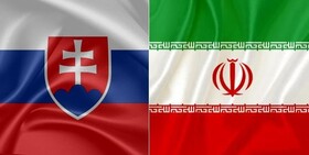 دیدار سفیر ایران با معاون وزیر خارجه اسلواکی