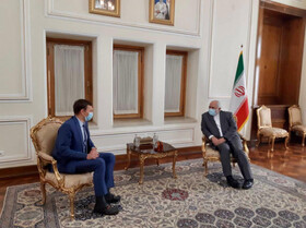 استقبال معاون وزیر خارجه اوکراین از همکاری ایران درباره هواپیمای اوکراینی
