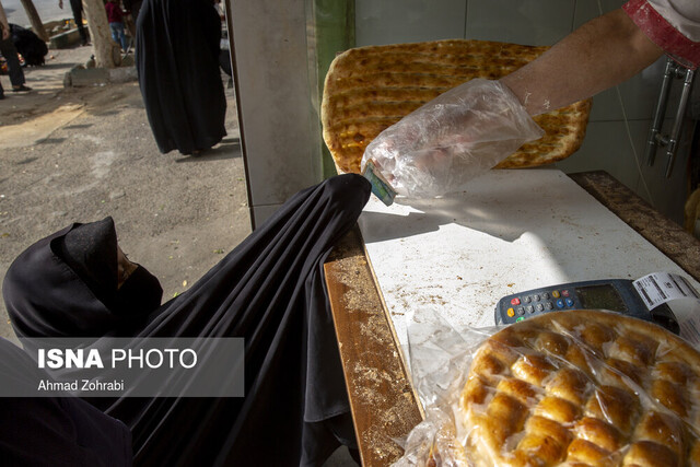 بیشترین شکایت‌ بوشهری‌ها مربوط به نان و مرغ است