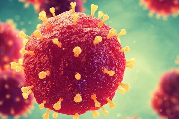 بومی‌سازی ویروس مهندسی سرخک برای درمان سرطان / تدوین برنامه مشترک برای فاز انسانی
