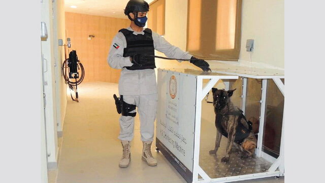 بکارگیری سگ‌های کرونایاب در فرودگاه ابوظبی