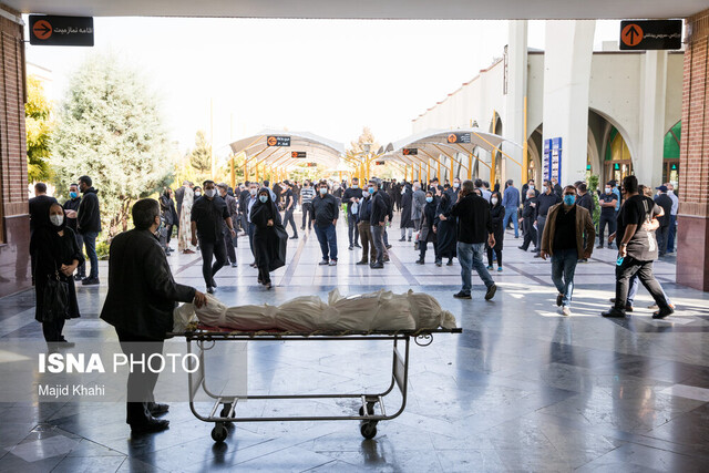 پیامدهای سوگهای متراکم و تخلیهنشده را دریابید! پیامدهای سوگهای متراکم و تخلیهنشده را دریابید!