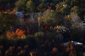 ایران زیباست؛کوچه باغ های پاییزی همدان