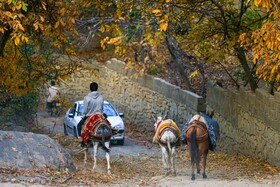 ایران زیباست؛کوچه باغ‌ های پاییزی همدان