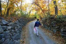 ایران زیباست؛کوچه باغ‌ های پاییزی همدان