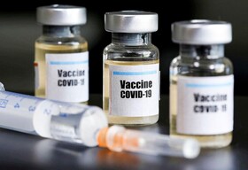 اولین قراردادهای صنعتی سازی واکسن کووید-۱۹ و پرندگان منعقد شد/تولید ۳۶ ماده اولیه دارویی