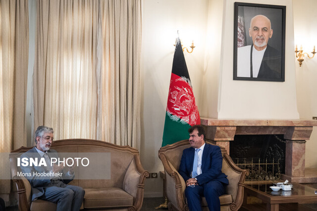 حدادعادل: مردم ایران با ملت افغانستان همدردی می کند