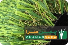 چمن مصنوعی ارزان از کجا بخرم؟