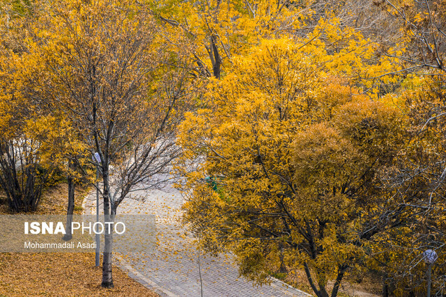 کاهش نسبی دمای هوای تهران طی فردا