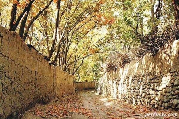 برگزاری مسابقه عکس موبایلی از کوچه باغ‌های فیروزکوه