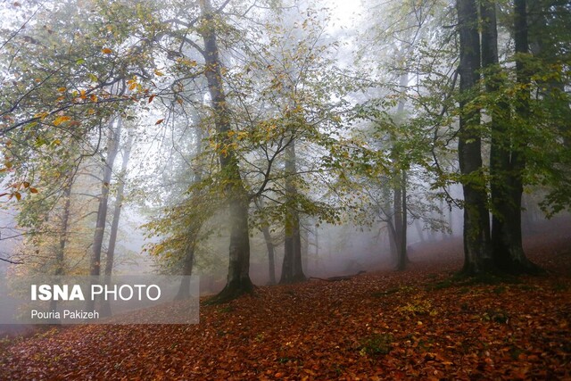 تهیه نقشه زمینشناسی یکبیستوپنجهزارم مناطقی از رشت در دستور کار محققان تهیه نقشه زمینشناسی یکبیستوپنجهزارم مناطقی از رشت در دستور کار محققان