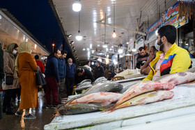 اقشار با درآمدهای مختلف، امکان خرید ماهی دارند