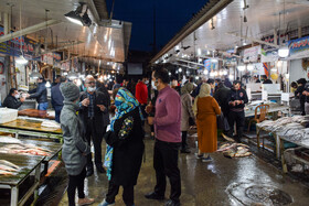 بازار ماهی «فریدونکنار» در روزهای کرونایی