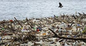 منع کامل واردات پسماندهای جامد به چین