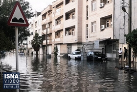 ویدئو / آبگرفتگی در معابر بوشهر