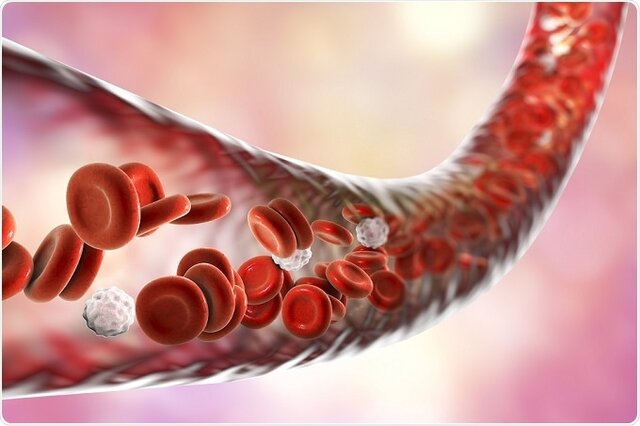 بررسی جریان خون در عروق برای ساخت رگ‌های مصنوعی