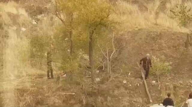 واکنش شهرداری به قطع درختان حیاط بیمارستان مسیح دانشوری