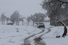 بارش اولین برف پاییزی در همدان