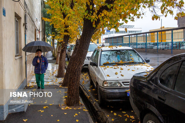 رگبار و رعد و برق در ۶ استان / کاهش دمای شمال کشور تا ۱۰ درجه  