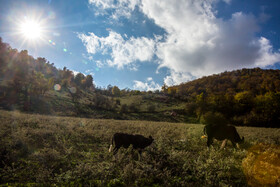 ایران زیباست؛ روستای «ارفع‌ده»