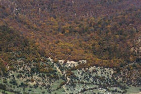 ایران زیباست؛ روستای «ارفع‌ده»