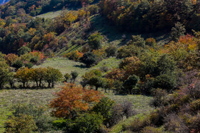 ایران زیباست؛ روستای «ارفع‌ده»