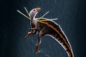 کشف فسیل گونه جدیدی از دایناسور مشهور به "ارباب نیزه"