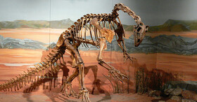 کشف اطلاعات بی سابقه با بازسازی مغز یکی از قدیمی ترین دایناسورهای تاریخ