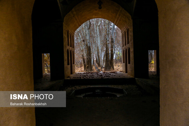 عکس تزیینی است  پاییز را با کدام نمایشگاهها آغاز کنیم؟